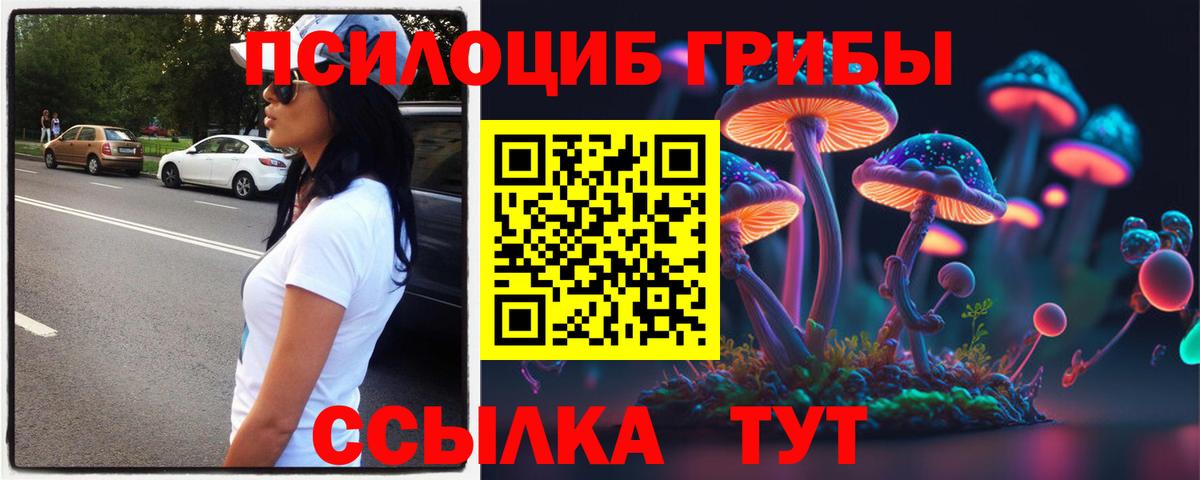 Псилоцибиновые грибы Cubensis  даркнет сайт  Галлюциногенные грибы Magic Shrooms  Муравленко  Вход с VPN 